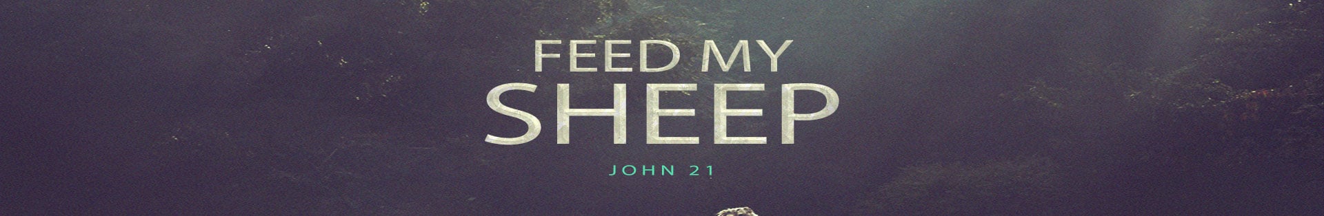 John 21 – Feed My Sheep