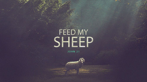 John 21 - Feed My Sheep - Calvary Chapel of Westmoreland