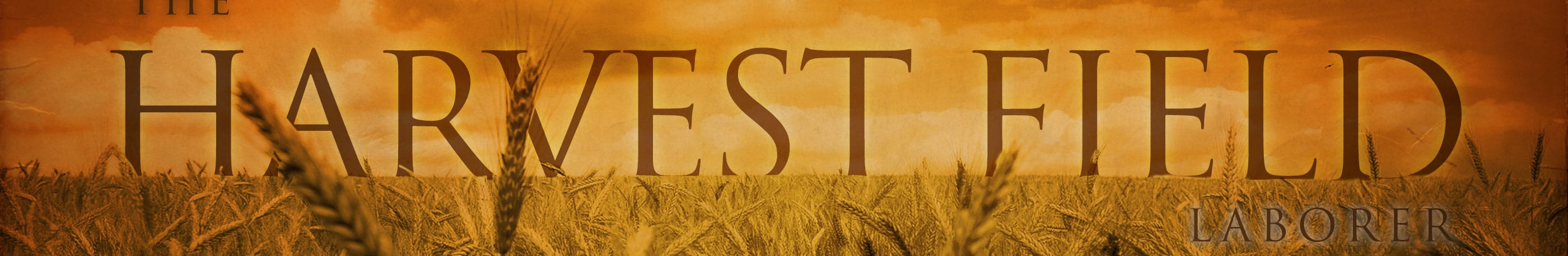 Matthew 9:18-38 – The Harvest Field Laborer