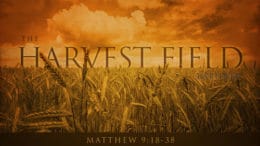 Matthew 9:18-38 - The Harvest Field Laborer