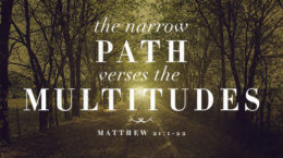 Matthew 21:1-22 - The Narrow Path Versus The Multitudes