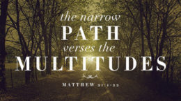 Matthew 21:1-22 - The Narrow Path Versus The Multitudes